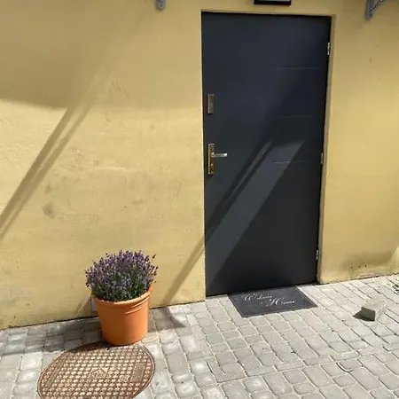 Mini Z Tarasem Leba