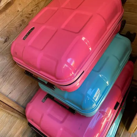 Mini Z Tarasem וובה